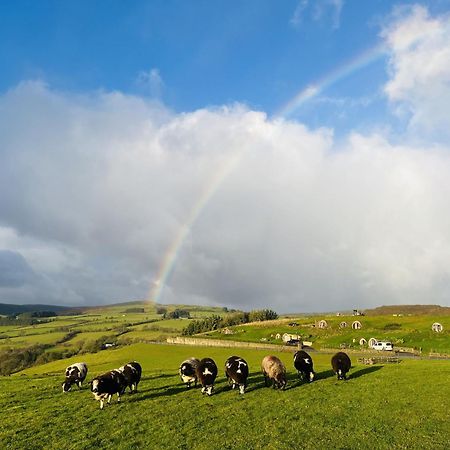 Shepherds View Rhayader Extérieur photo