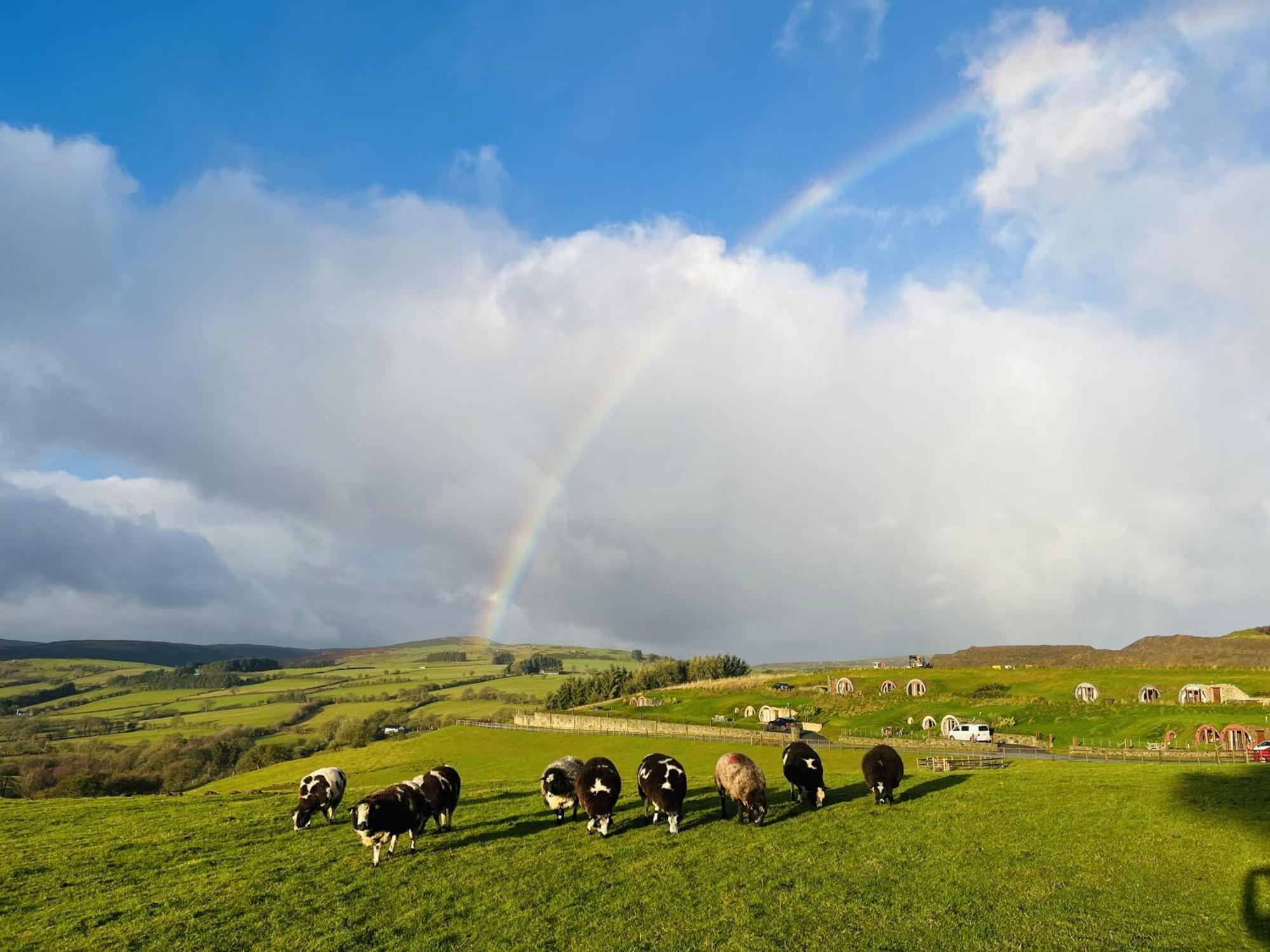 Shepherds View Rhayader Extérieur photo